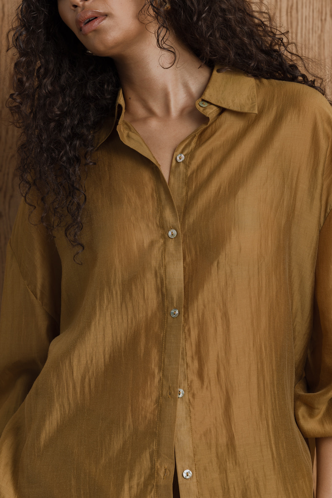 Taylor Sheer Shirt