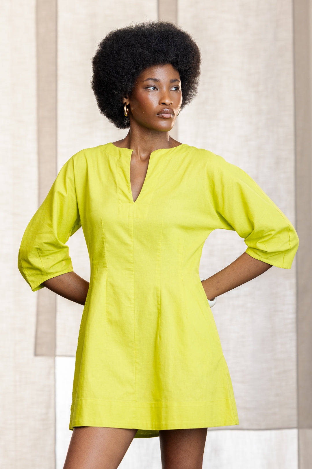 Lidza Puff Sleeve Mini Dress