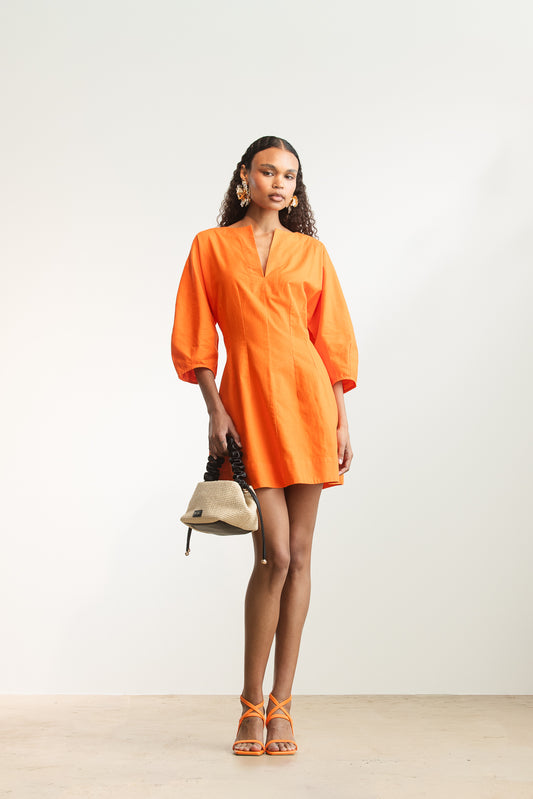 Lidza Puff Sleeve Mini