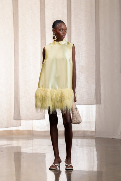 Calie Feather Hem A-Line Mini Dress