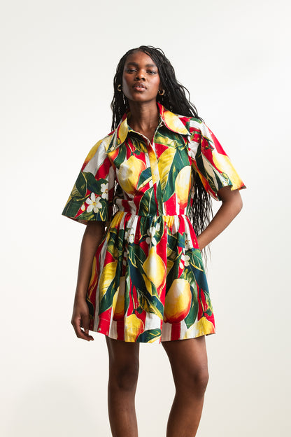 Anna Shirt Dress